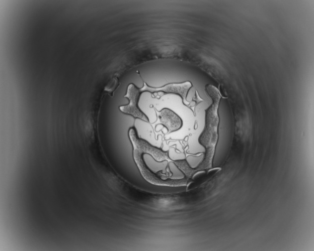 X0000090710662200707201216