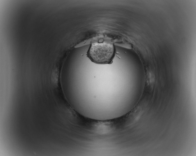 X0000090710664200707201216