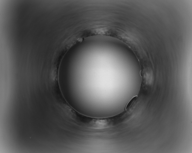 X0000090710665200707201216