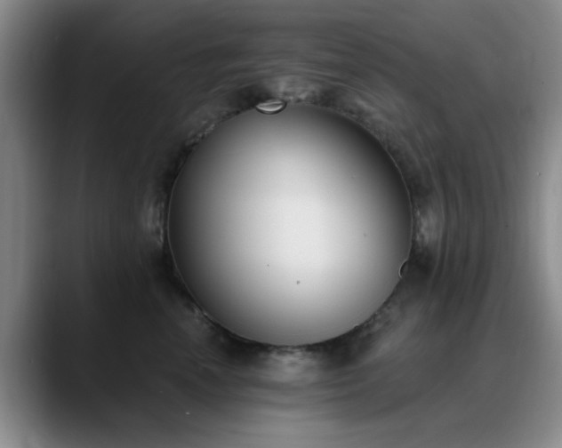 X0000090710666200707201216