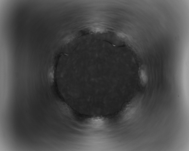 X0000090710668200707201216