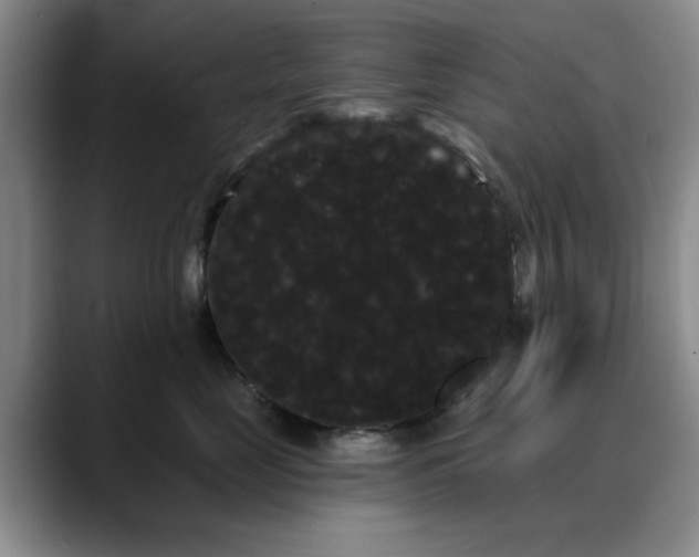 X0000090710669200707201216