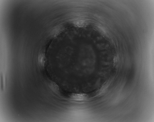 X0000090710671200707201216