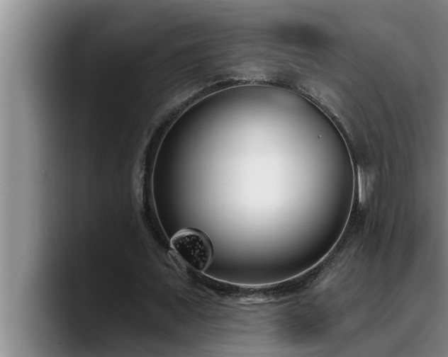 X0000090710675200707201216