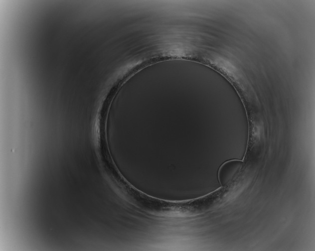 X0000090710678200707201216