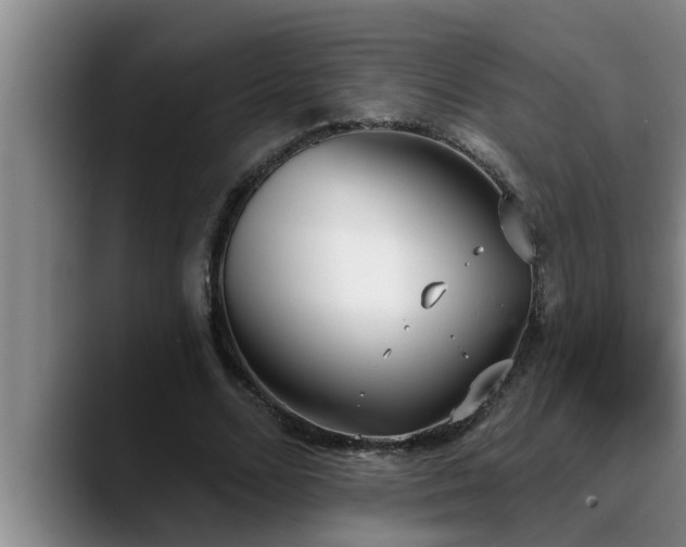 X0000090710680200707201216