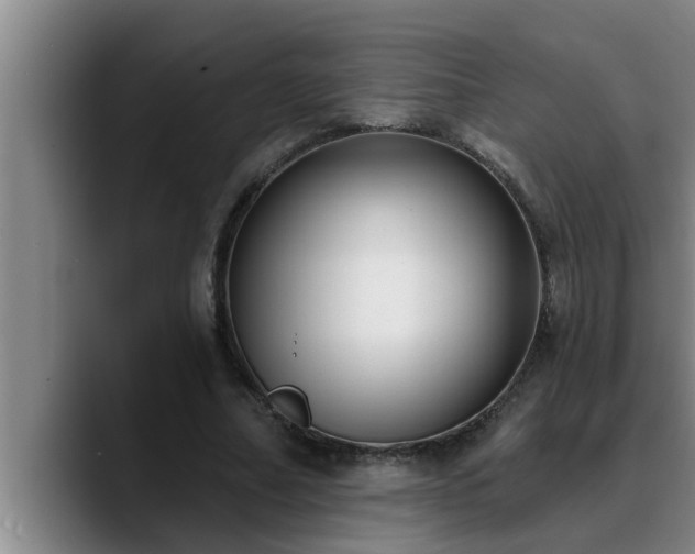 X0000090710682200707201216