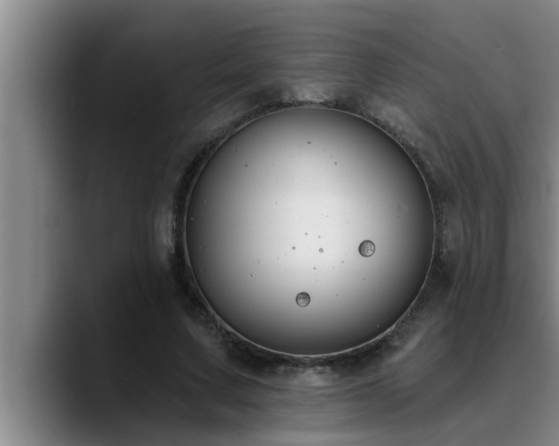 X0000090710683200707201216