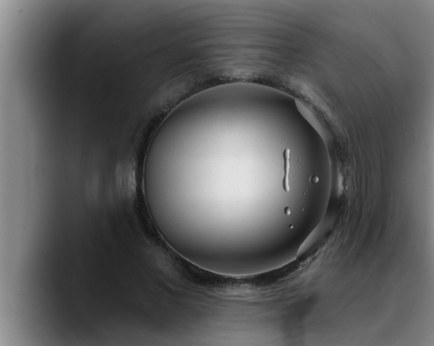 X0000090710685200707201216