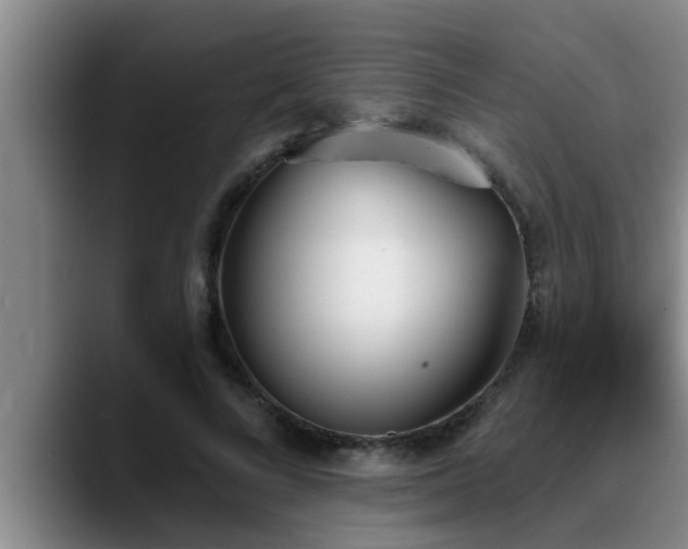 X0000090710688200707201216