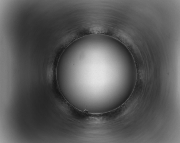 X0000090710690200707201216