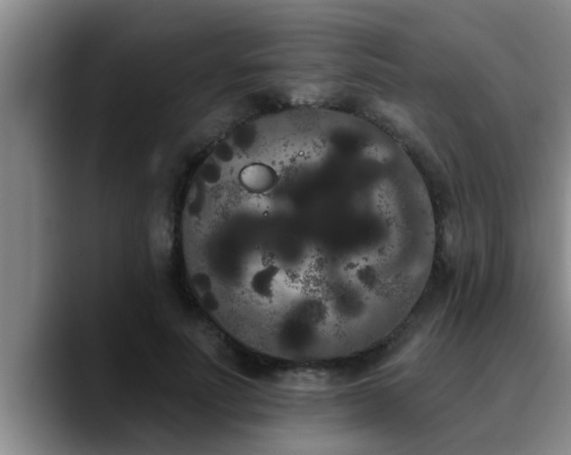 X0000090710691200707201216