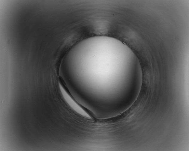 X0000090710697200707201215