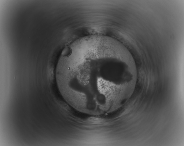 X0000090710699200707201215