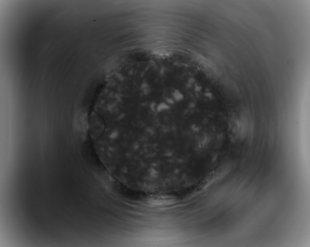 X0000090710707200707201215