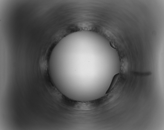 X0000090710713200707201215