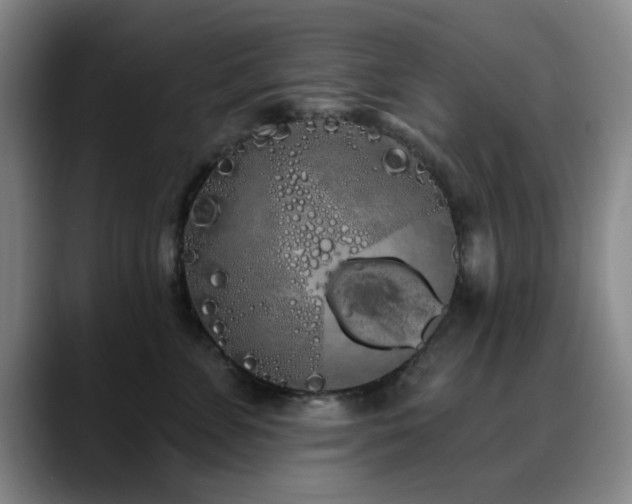 X0000090710715200707201215