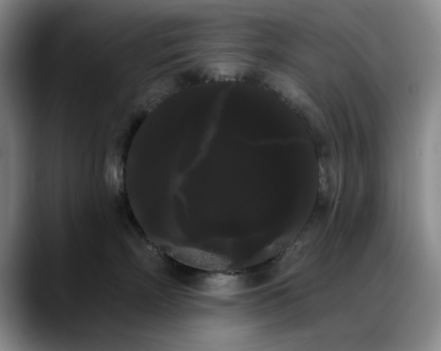 X0000090710718200707201215