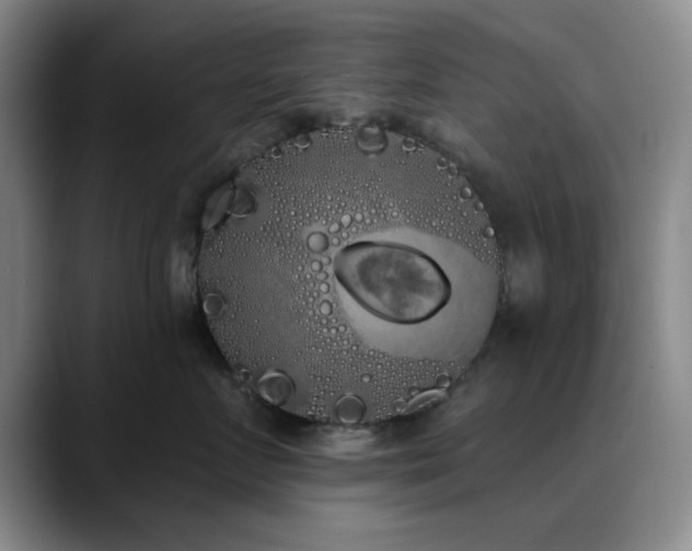 X0000090710719200707201215