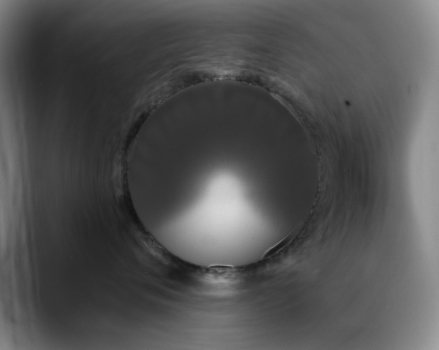 X0000090710720200707201215