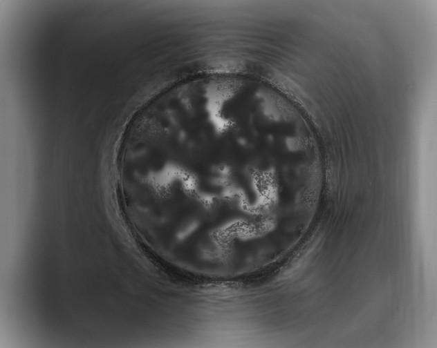 X0000090710721200707201215