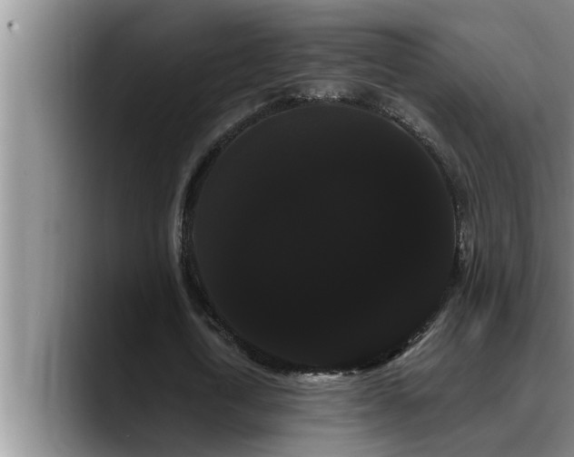 X0000090710722200707201215