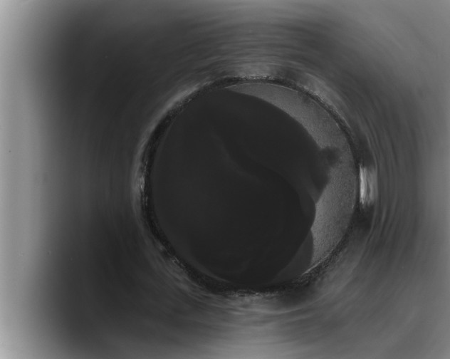 X0000090710723200707201215