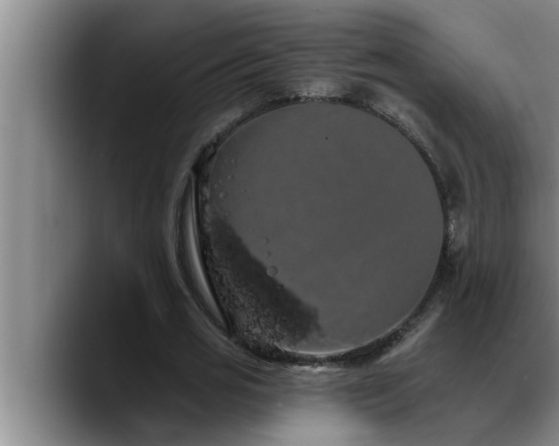 X0000090710725200707201215