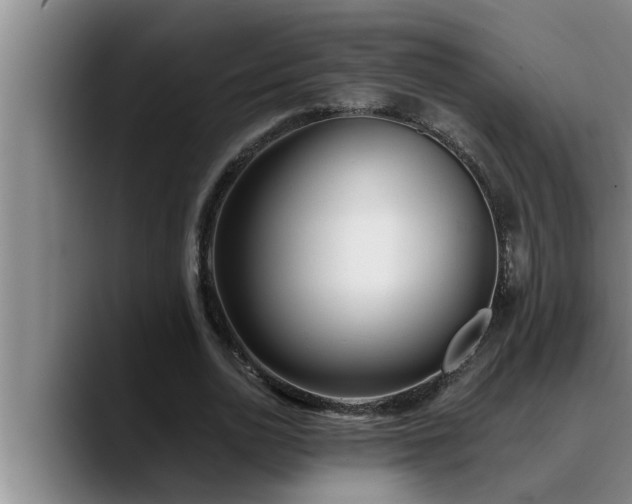 X0000090710726200707201215