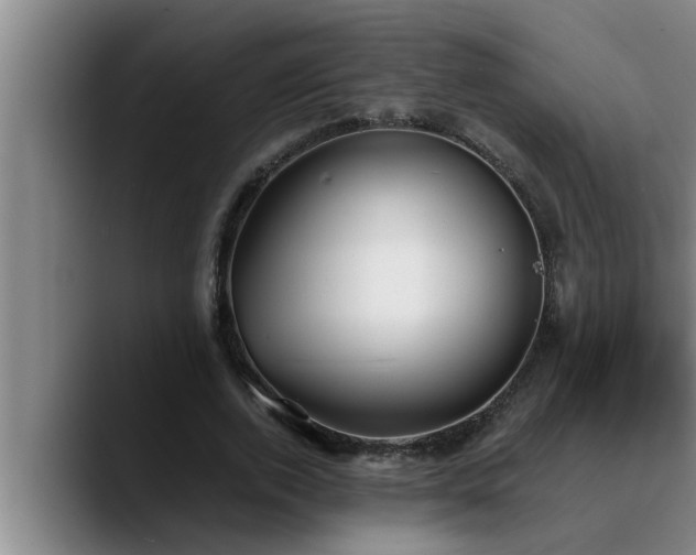 X0000090710728200707201215