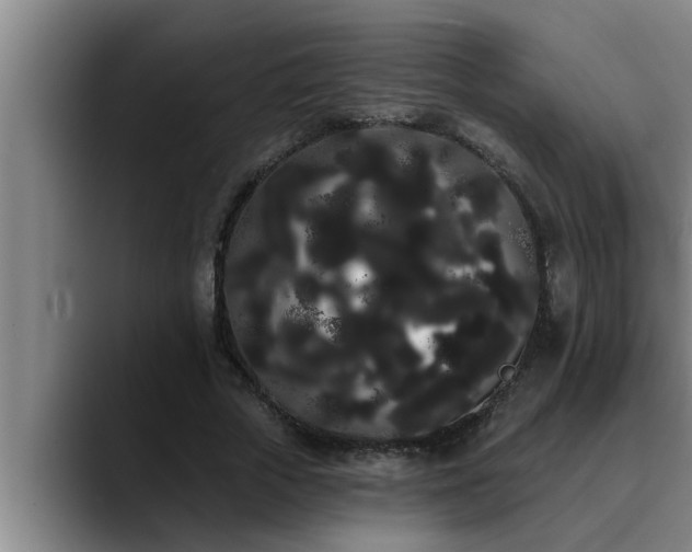 X0000090710729200707201215