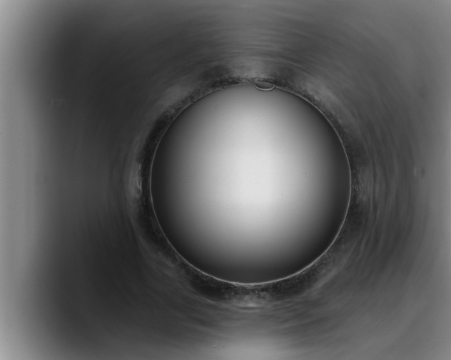 X0000090710731200707201215