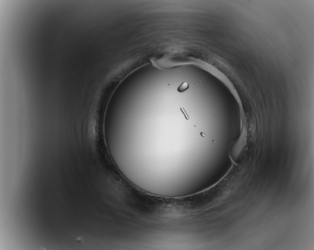 X0000090710732200707201215