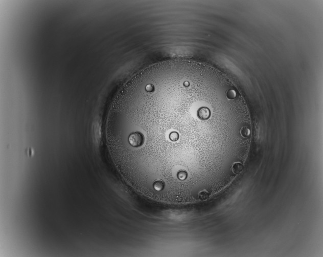 X0000090710733200707201215