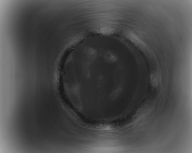 X0000090710735200707201215