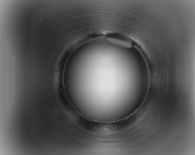 X0000090710736200707201215