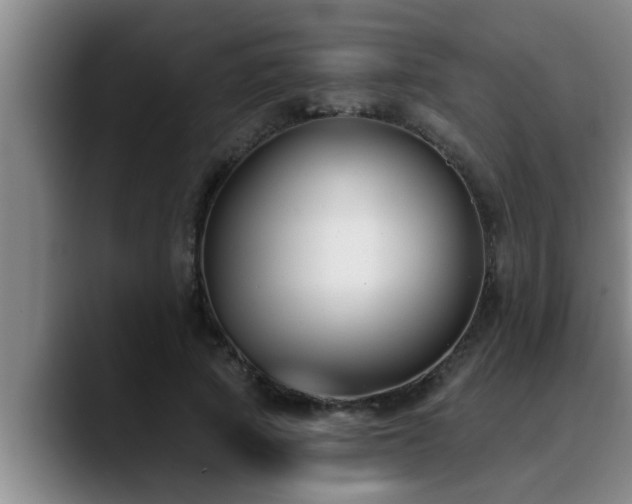 X0000090710737200707201215