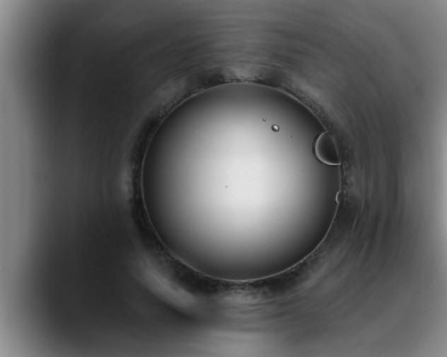 X0000090710738200707201215