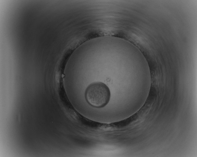 X0000090710742200707201215