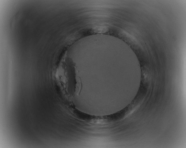 X0000090710745200707201215