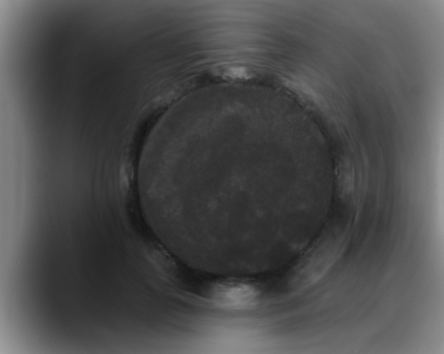 X0000090710747200707201215