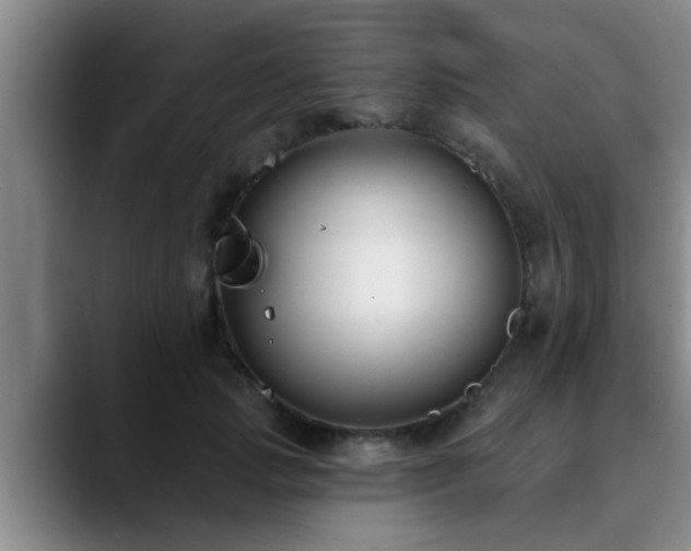 X0000090710749200707201215