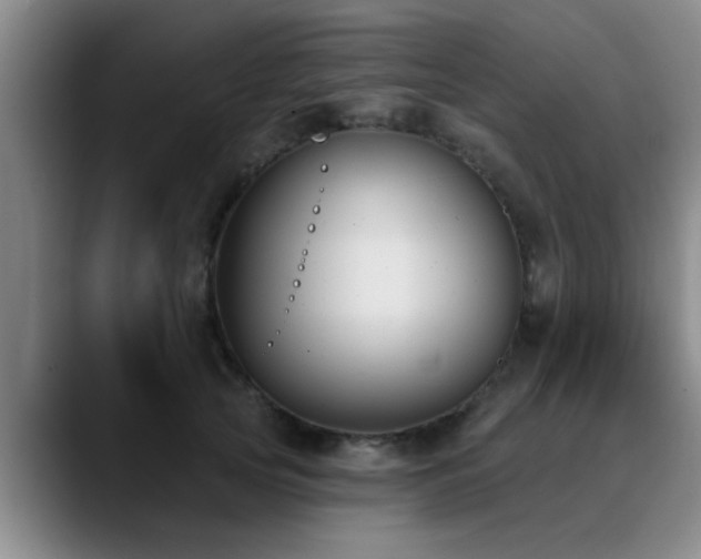 X0000090710753200707201215