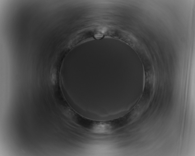 X0000090710754200707201215