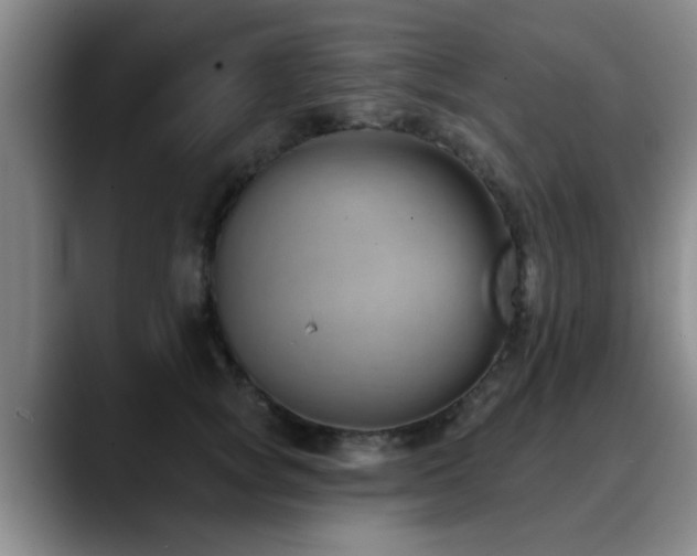 X0000090710757200707201215