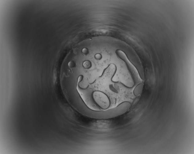 X0000090710758200707201215