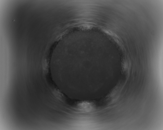 X0000090710759200707201215