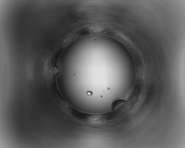 X0000090710761200707201215