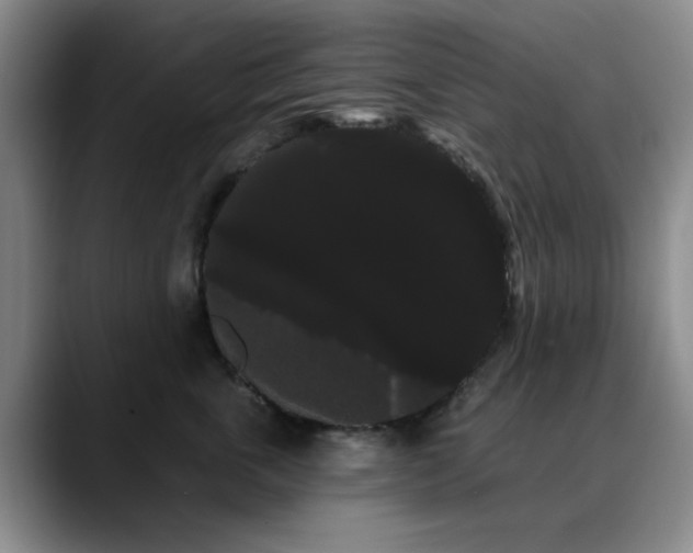 X0000090710763200707201215