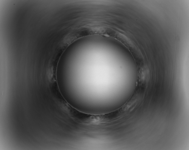 X0000090710764200707201215